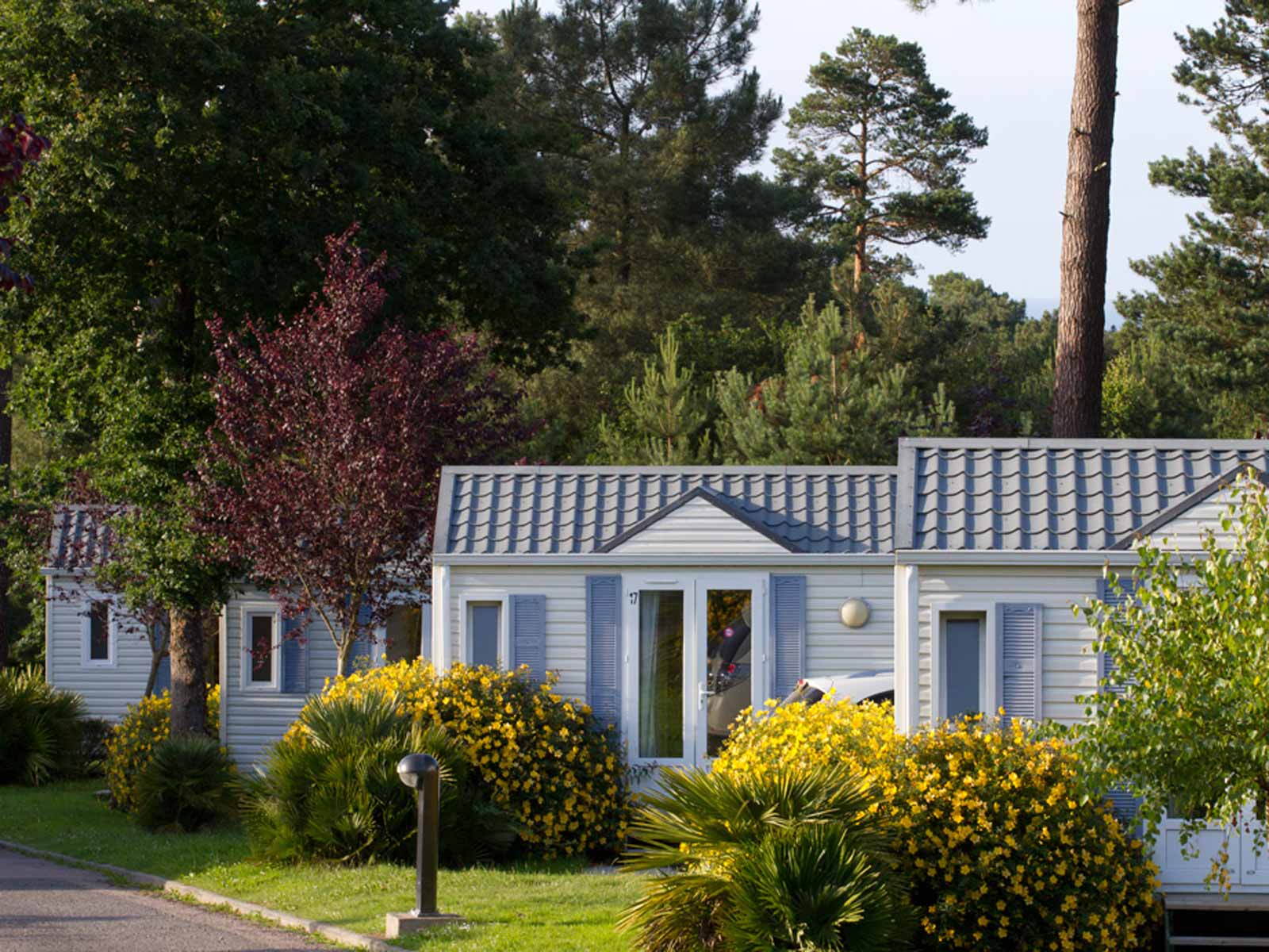 Yelloh! Village Les Pins à ERQUY, Côtes d'Armor Via Camping